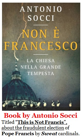 Book of Socci: This is Not francis