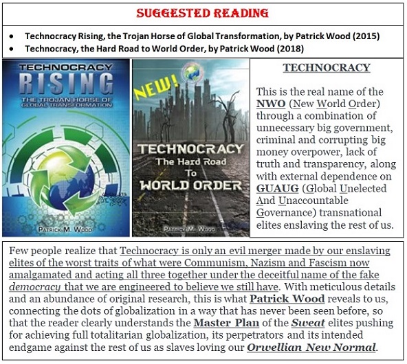 Wood BK Technocracy