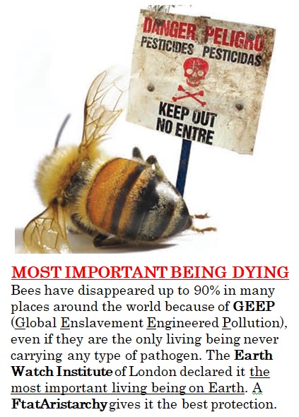 Bees Dying