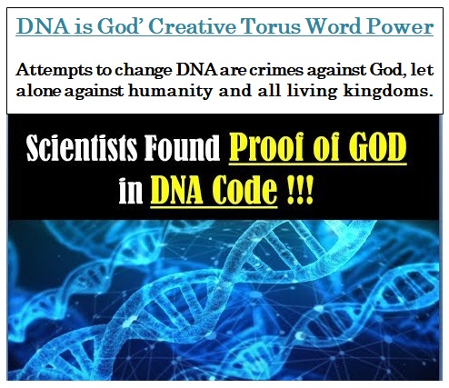 DNA as God Torus Word Power