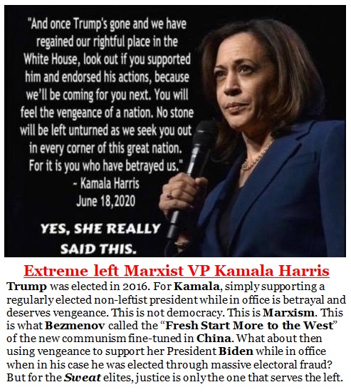 Kamala Harris Marxist Justice