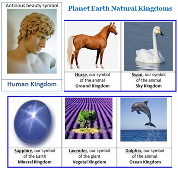 Kingdoms of Life on Earth