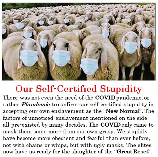 Self-Certified Global Stupidity