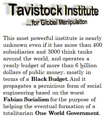 Tavistock Institute
