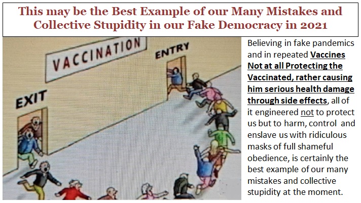 Vaccination Fake Rink