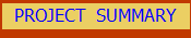 PROJECT  SUMMARY