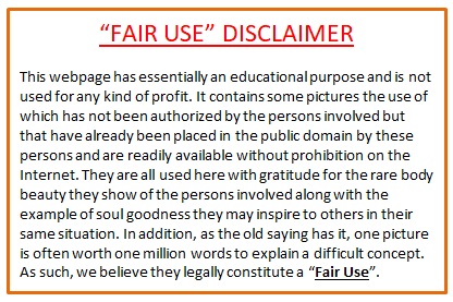 Fair Use Disclaimer